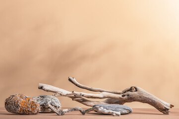 Dry branches and stones. Composition in warm beige tones with shadow, product presentation. Ecological materials.