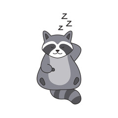 cute racoon illustration