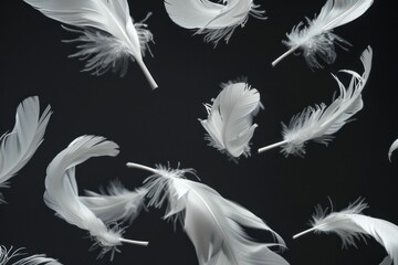 Obraz premium Floating white feathers in the air on black background serene beauty of flight and elegance