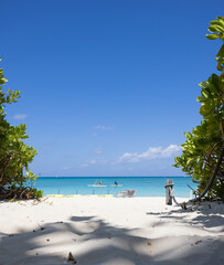 White sand beach with trees and blue sky