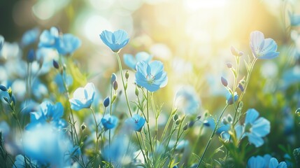flowers in the morning medow, meadow of flax flowers close up, spring time on a sunny day, whimsical and Idyllic nature