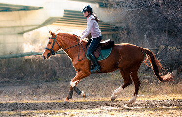 Young girl riding a horse