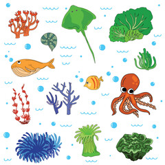 Colorful Marine Life Illustration for Kids.