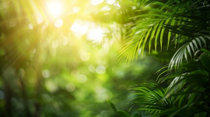 Sunlight filtering through lush green tropical leaves creating a serene and vibrant natural scene.