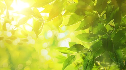 Fototapeta premium Summer Nature Bright Background Texture with Sunlight