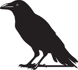 crow black bird silhouette Illustration vector