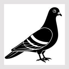 illustration of dove bird