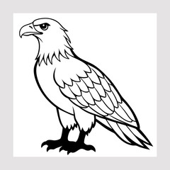 illustration of eagle bird 