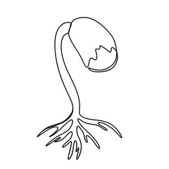 The bean sprouts are growing one line art