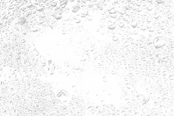 Macro Close-Up of Water Droplets Background