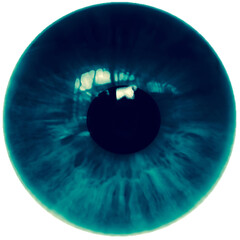 eye of the person. Human, animal eyes. Fantasy dill.