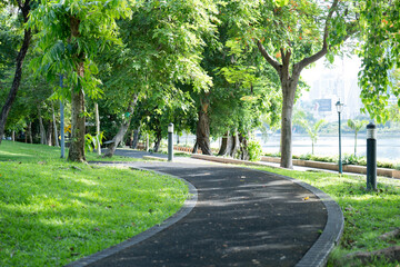 A public park with green trees and a road running through the middle, bathed in sunlight, feels refreshing