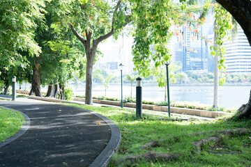 A public park with green trees and a road running through the middle, bathed in sunlight, feels refreshing