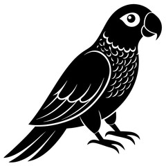 illustration of a bird