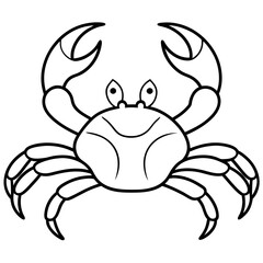 crab isolated on white