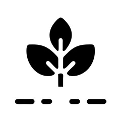 black and white butterfly