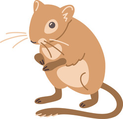 Gerbil pet doodle hand drawn character. Cute adorable domesticated animal in linear cartoon style illustration