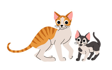 Cute cat concept, national kitten day. Adorable domestic cornish rex cat with kitten. Fluffy orange tabby, black and white cats standing with hearts. Cartoon flat vector illustration