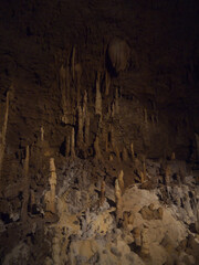 Dark cave environment with numerous tall stalagmites highlighted by light