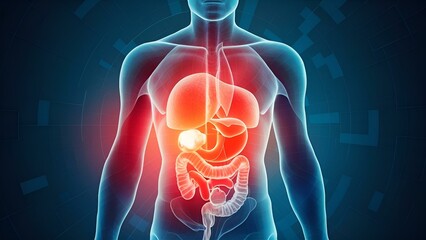 Develop AI-powered tools to create 3D models of patients' organs, which can be used for surgical planning or other medical procedures.