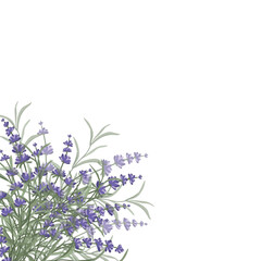 Floral purple-lavender border made of lavender flowers and leaves, for the design of postcards, invitations, banners, packaging and wallpaper. A frame for your design. Vector illustration