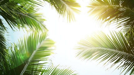 Palm tree leaves against a bright sky with space for text