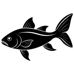 fish isolated on white background