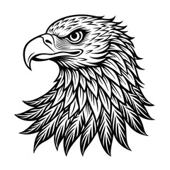 eagle head handrawn vector illustration