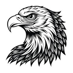 eagle head handrawn vector illustration