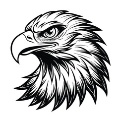 eagle head handrawn vector illustration