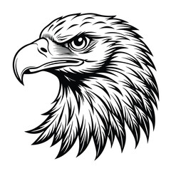eagle head handrawn vector illustration
