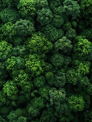 Abstract image of black pipes winding through a lush green forest.