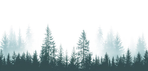 A silhouette of pine trees against png on transparent background, a forest landscape in a dark green and black color palette