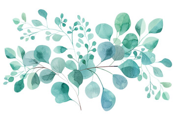 watercolor eucalyptus png on transparent background