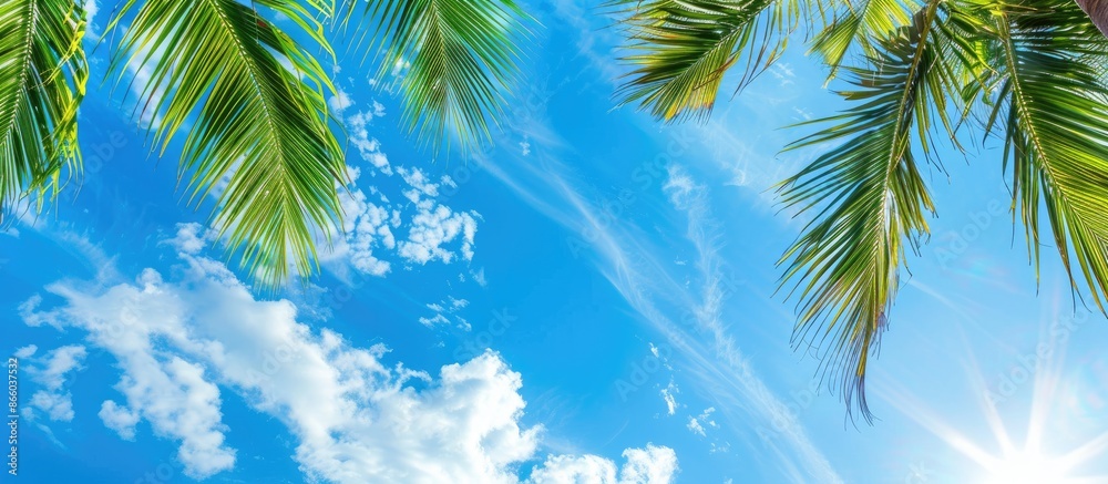 Poster a scenic tropical setting with coconut palm leaves against a vibrant blue sky, ideal for travel or n