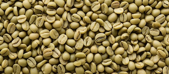 Fototapeta premium A detailed close-up of unroasted green coffee beans texture on a white background with copy space image, perfect for wallpaper or design elements.