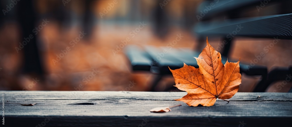 Aufkleber copy space image with an autumnal orange leaf resting on a wooden bench.