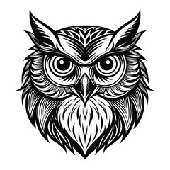 owl head handrawn vector illustration