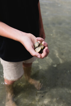 boy catching mud cockles in the shallows