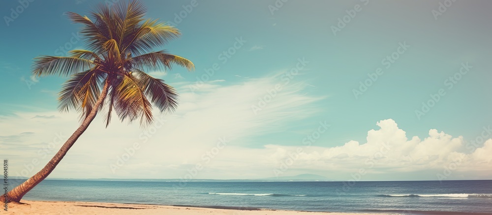 Poster Tropical beach scene with a palm tree under a blue sky and white clouds is a vintage-style image with space for text suggesting the theme of summer holidays and travel. with copy space image