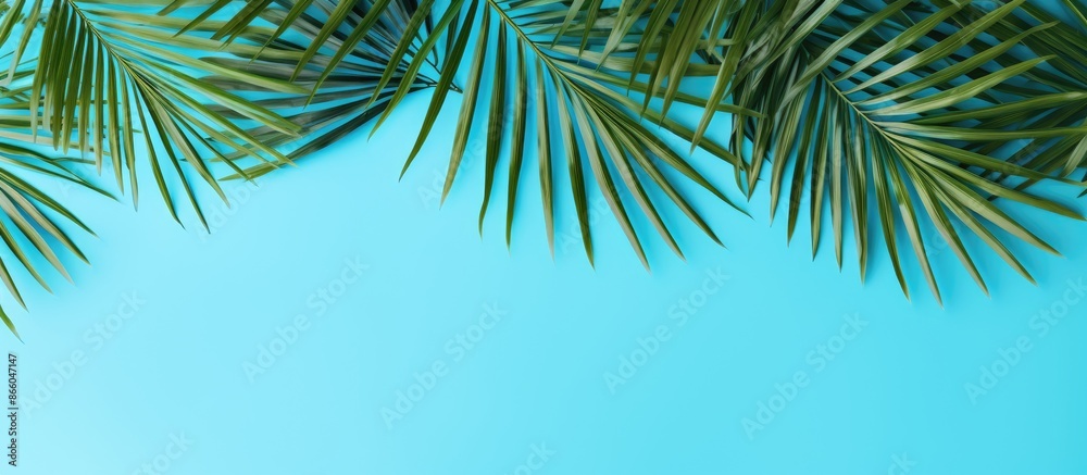 Aufkleber Top view of palm leaves on a blue background, creating a summer-themed composition with a flat lay design providing ample copy space image.