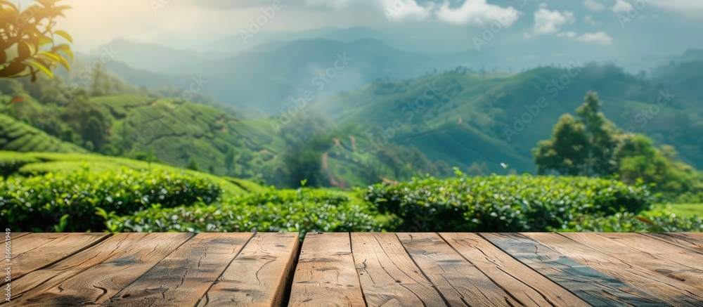 Poster wooden table overlooking mountains or desk surrounded by tea plantation scenery with blurred backgro