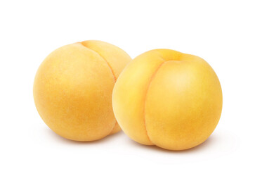 黄金桃のイラスト リアル 白バック