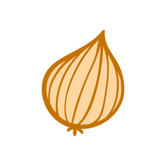 illustration of an onion