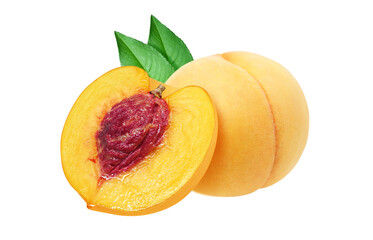 黄金桃のイラスト リアル 白バック