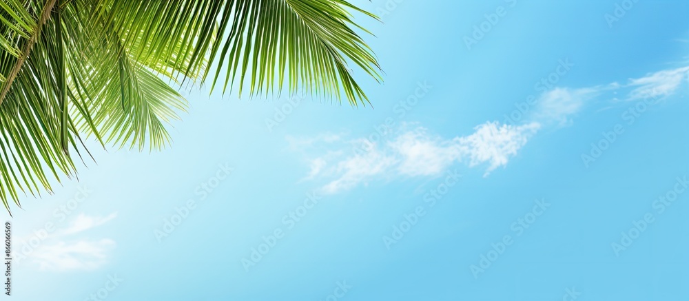 Aufkleber tropical beach vacation concept with a scenic overhead view of a coconut leaf against a blue sky, id