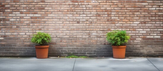 A brick wall adorned with two closed gray shutters and flowerpots, facing a concrete sidewalk and street, providing a background for a copy space image.