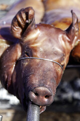 Roasted pork on the street