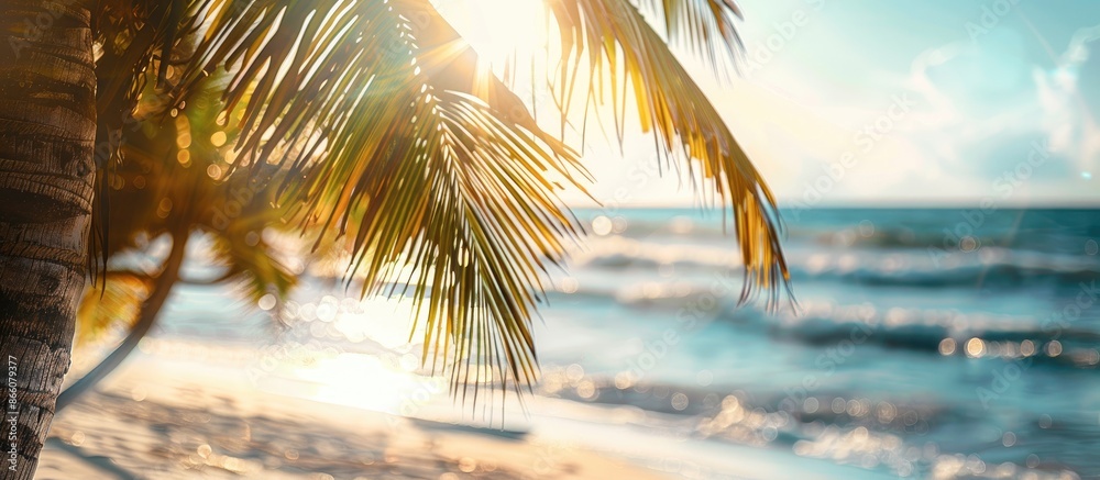 Poster Sunlight highlights a palm tree on the beach with selective focus, ideal for a copy space image.