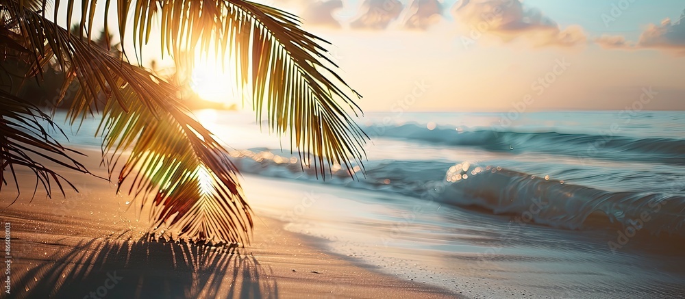 Poster Sunlight highlights a palm tree on the beach with selective focus, ideal for a copy space image.
